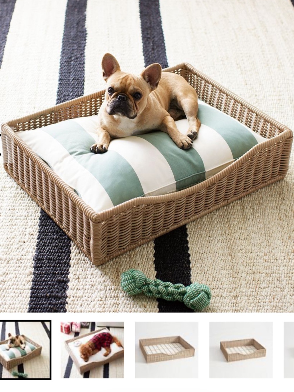 Pottery Barn Huntington Wicker Dog Basket